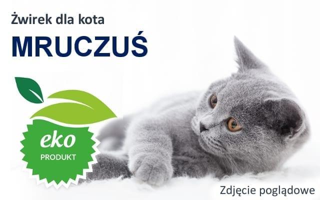 mruczuś na strone