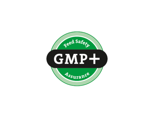 Certyfikat GMP+